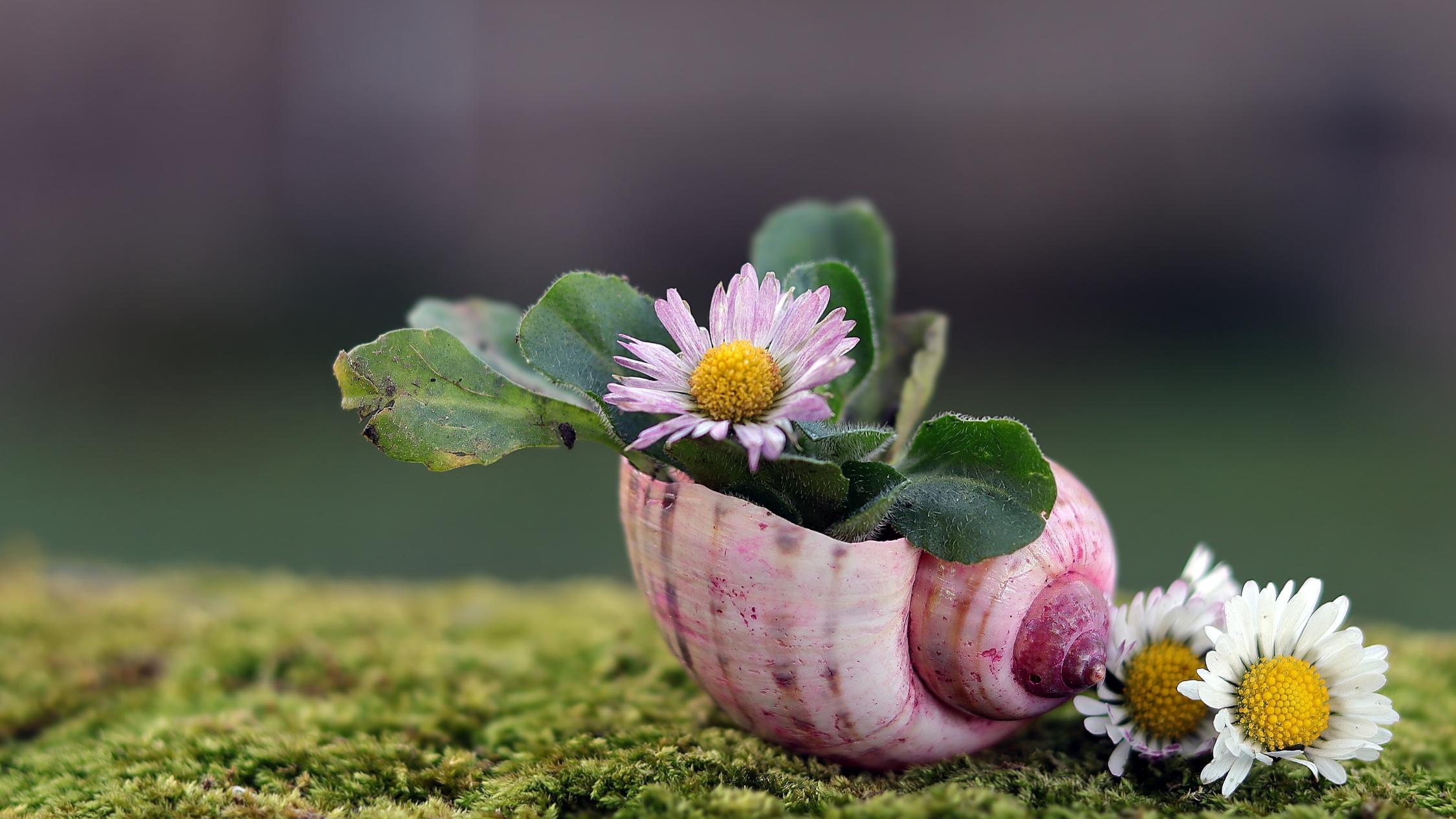 Pfr. Dr. Jürgen Heinze