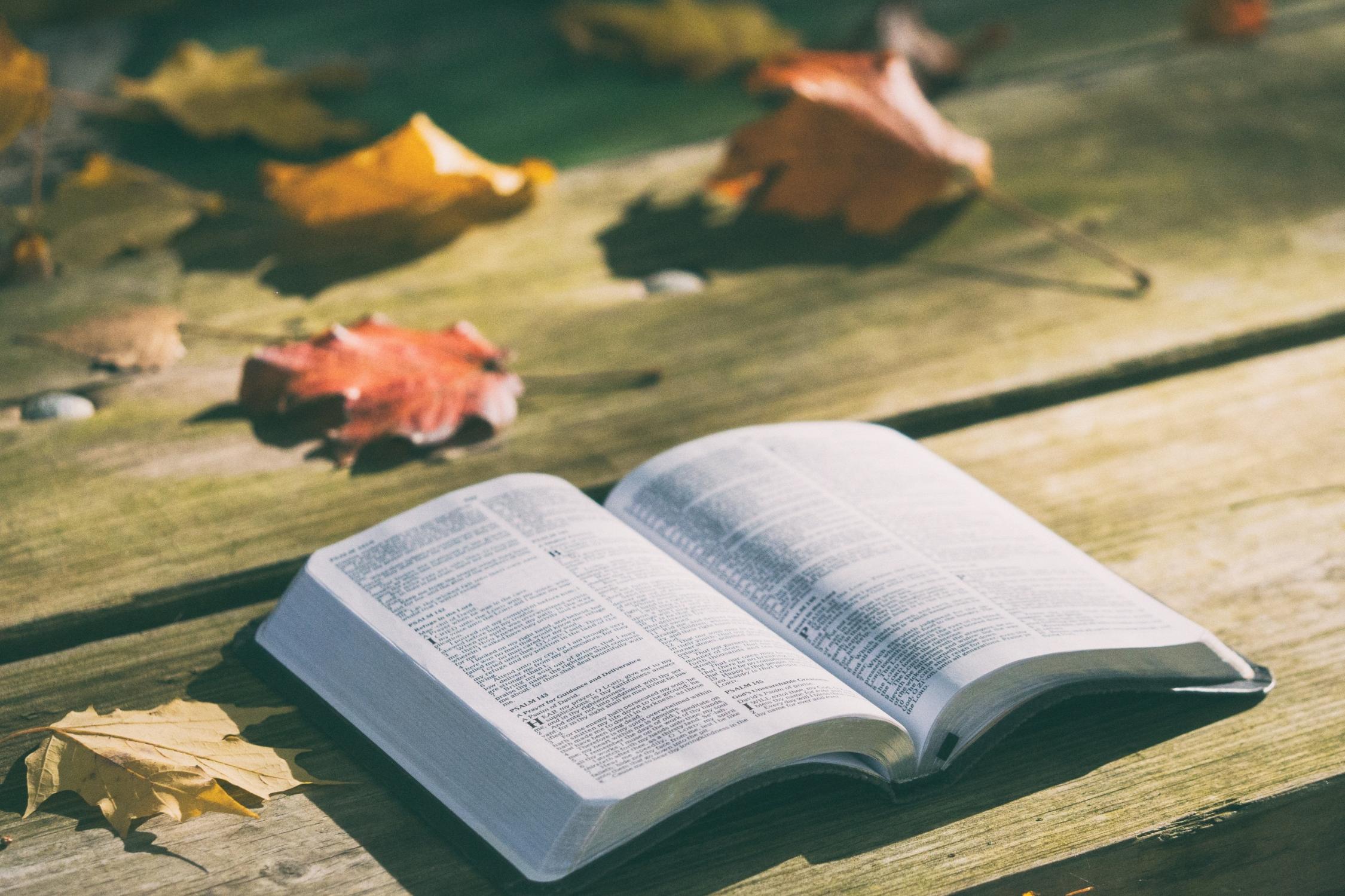 bibel