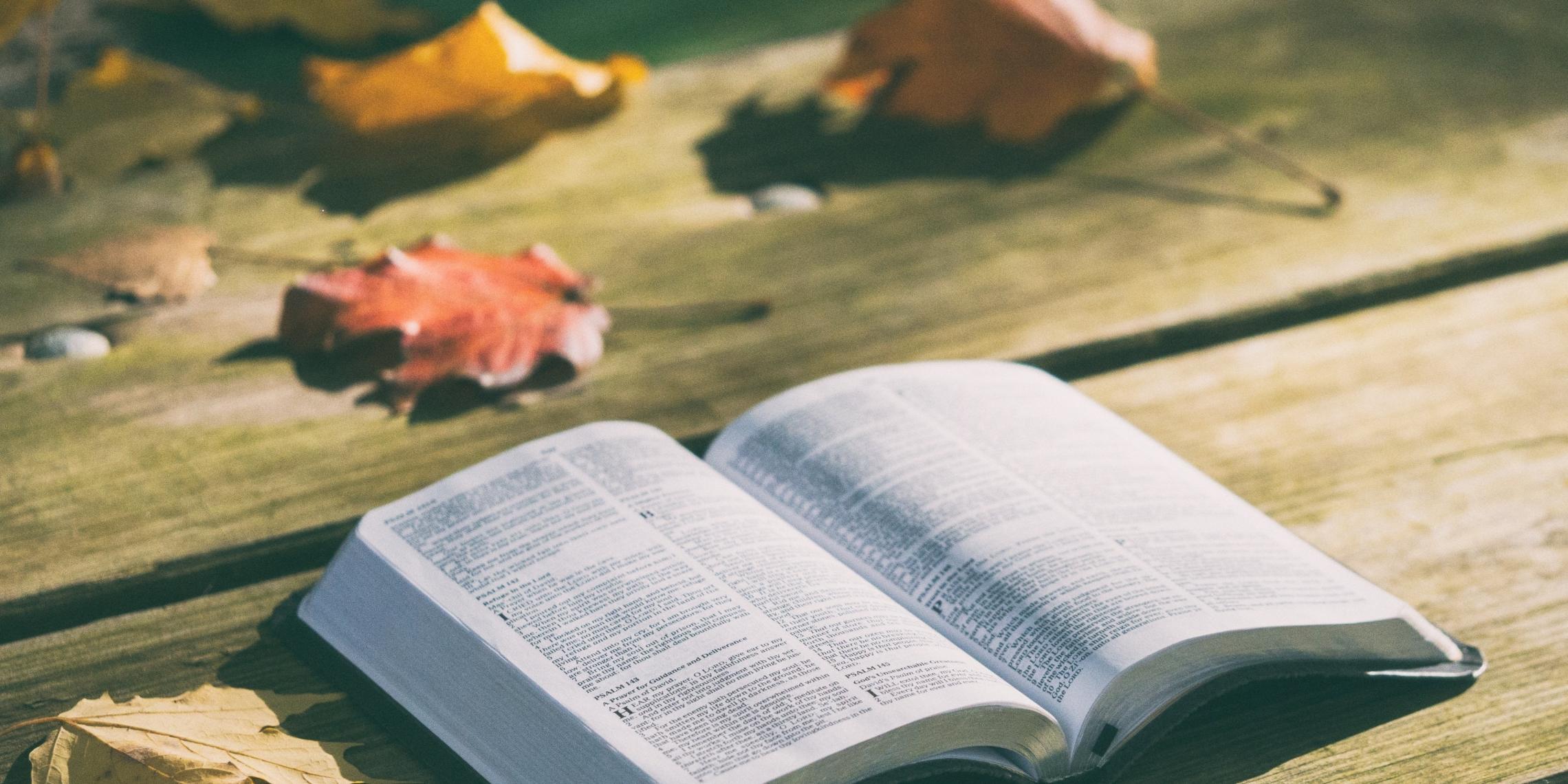 bibel
